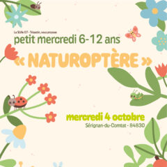 Mercredi 6-12 ans « Naturoptère »